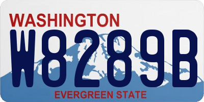 WA license plate W8289B