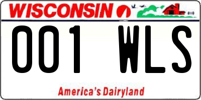 WI license plate 001WLS