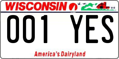 WI license plate 001YES