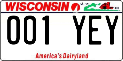 WI license plate 001YEY