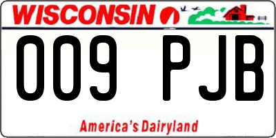 WI license plate 009PJB