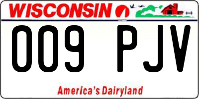 WI license plate 009PJV