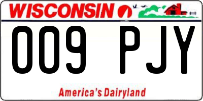 WI license plate 009PJY