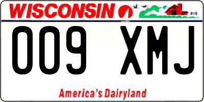 WI license plate 009XMJ