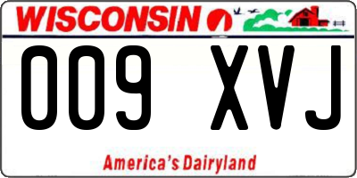 WI license plate 009XVJ