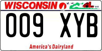 WI license plate 009XYB