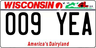 WI license plate 009YEA