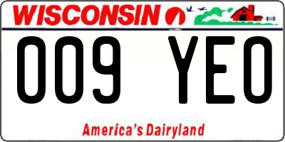 WI license plate 009YEO