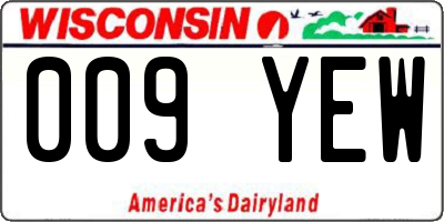 WI license plate 009YEW