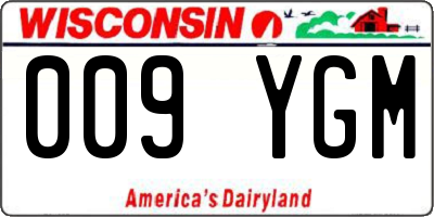 WI license plate 009YGM