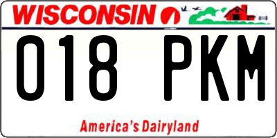 WI license plate 018PKM