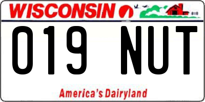 WI license plate 019NUT