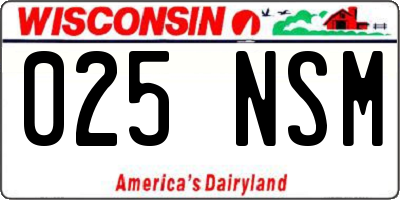 WI license plate 025NSM