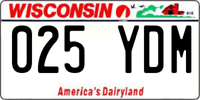 WI license plate 025YDM