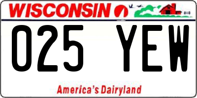 WI license plate 025YEW