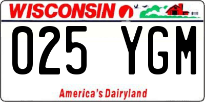 WI license plate 025YGM