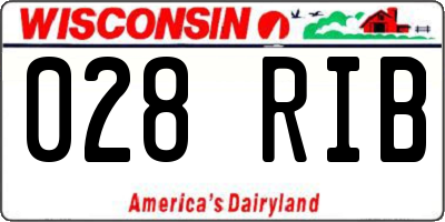 WI license plate 028RIB