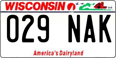 WI license plate 029NAK