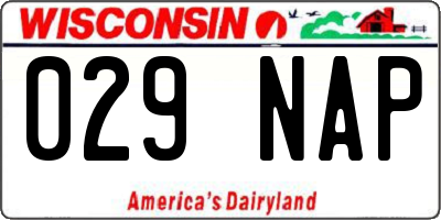 WI license plate 029NAP