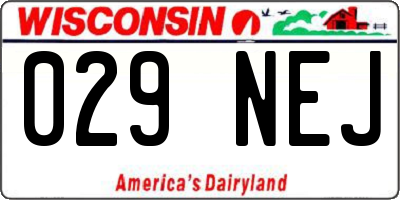 WI license plate 029NEJ
