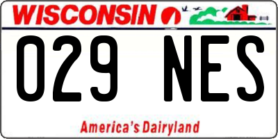 WI license plate 029NES