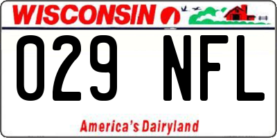 WI license plate 029NFL