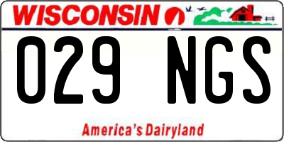 WI license plate 029NGS