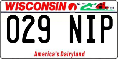 WI license plate 029NIP