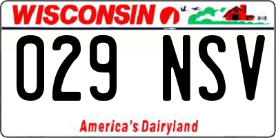 WI license plate 029NSV
