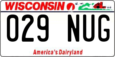 WI license plate 029NUG