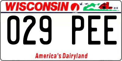 WI license plate 029PEE