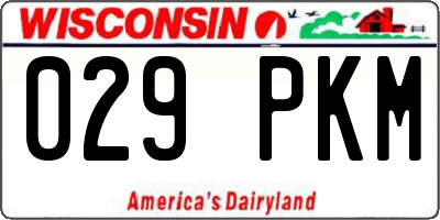 WI license plate 029PKM
