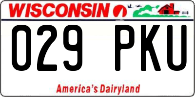 WI license plate 029PKU