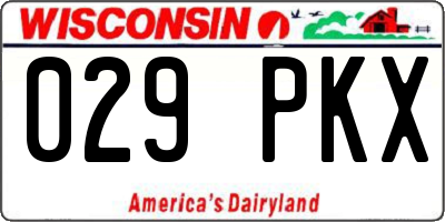 WI license plate 029PKX
