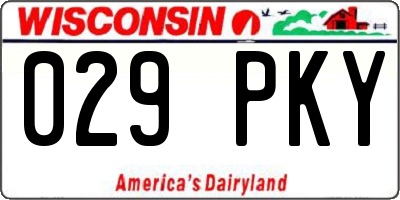 WI license plate 029PKY