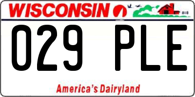 WI license plate 029PLE