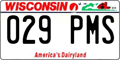 WI license plate 029PMS