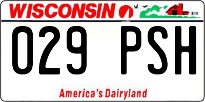 WI license plate 029PSH