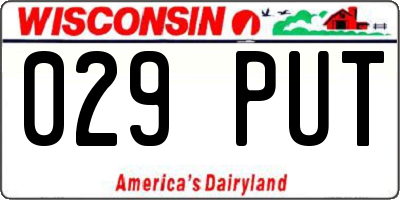 WI license plate 029PUT