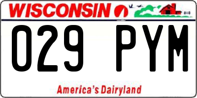 WI license plate 029PYM