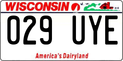 WI license plate 029UYE