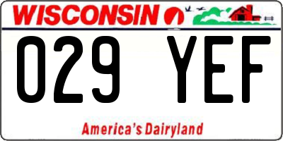 WI license plate 029YEF