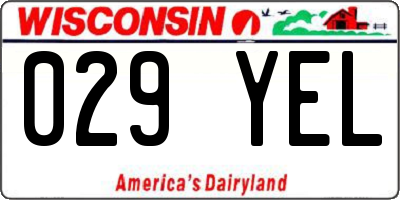 WI license plate 029YEL