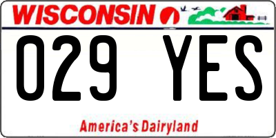 WI license plate 029YES
