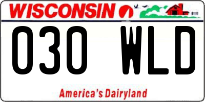 WI license plate 030WLD