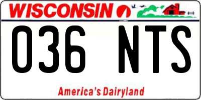 WI license plate 036NTS