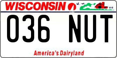 WI license plate 036NUT