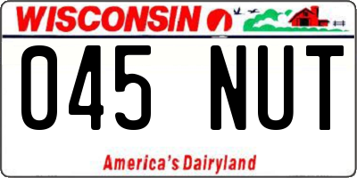 WI license plate 045NUT