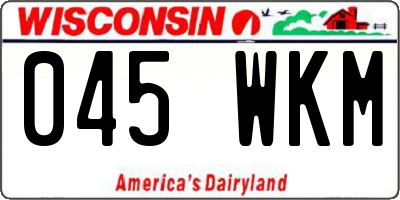WI license plate 045WKM