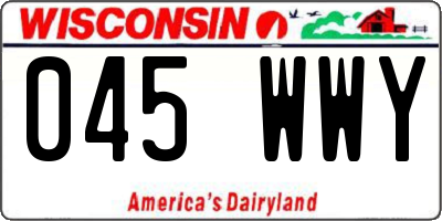 WI license plate 045WWY